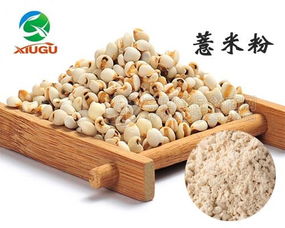 天津秀谷生物 專業(yè)廠直銷干燥薏米粉，打造健康食品新選擇